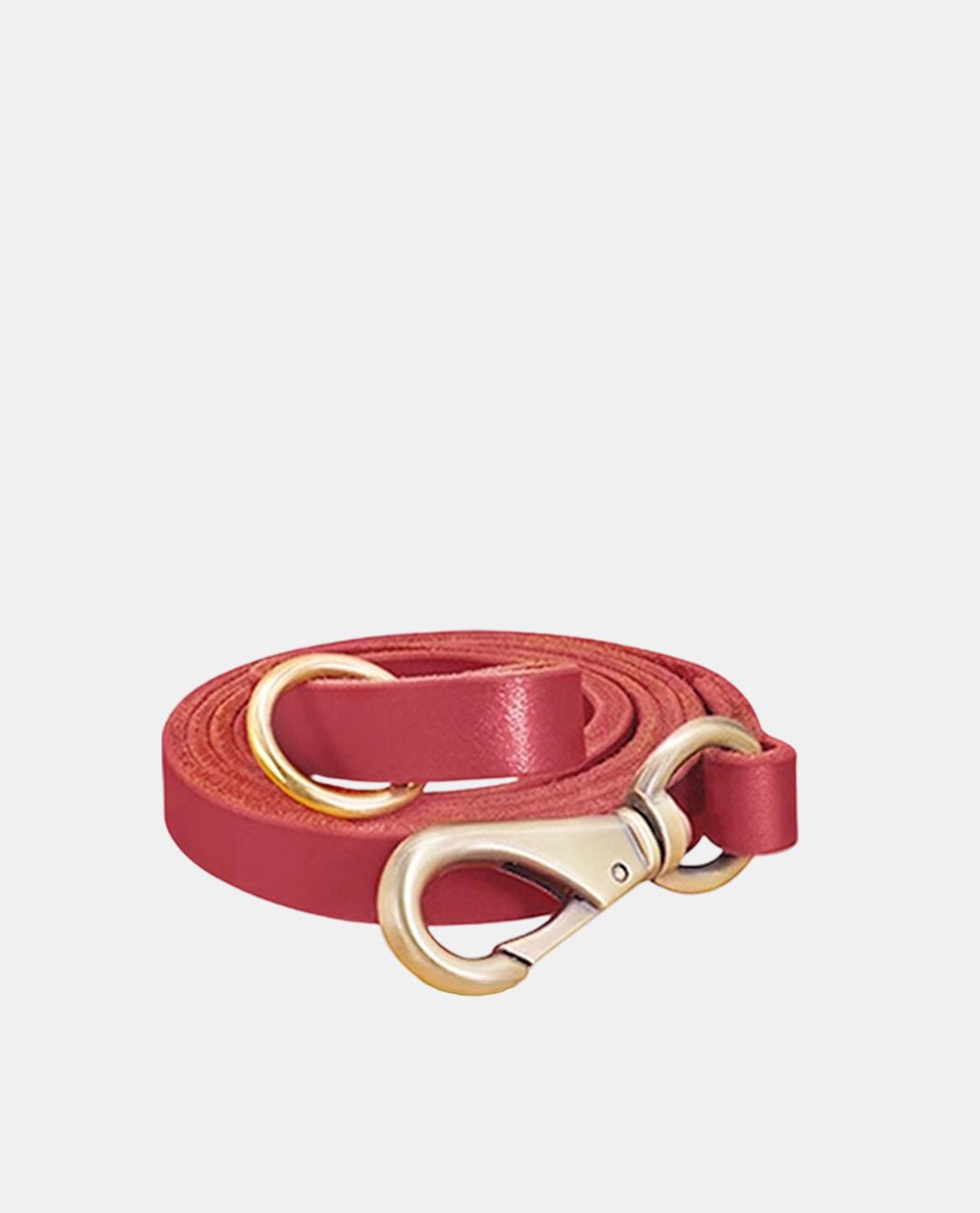 Starry Leather Dog Collar