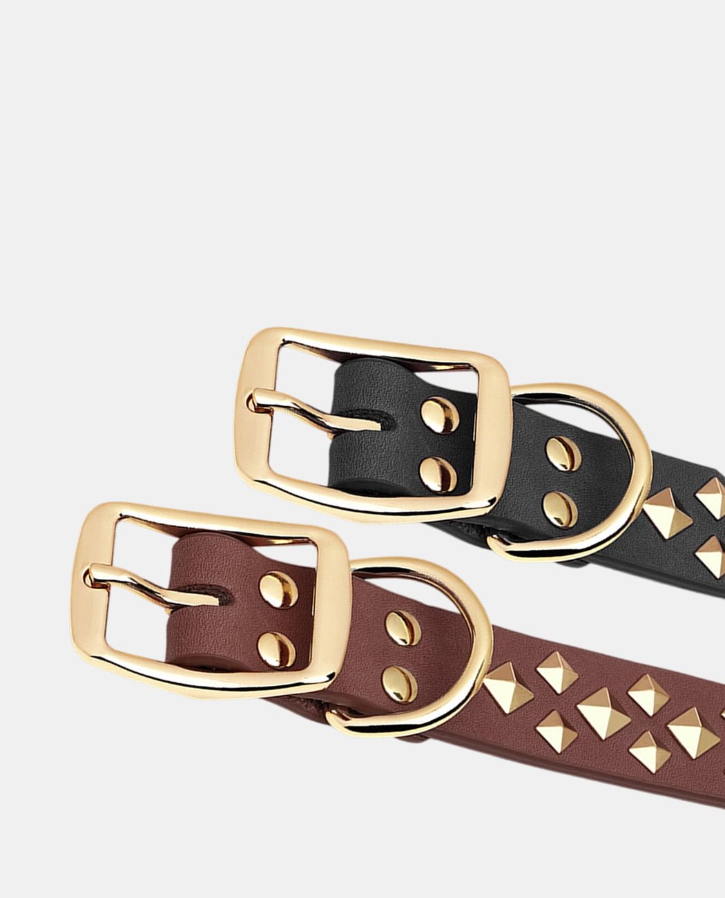 Starry Leather Dog Collar