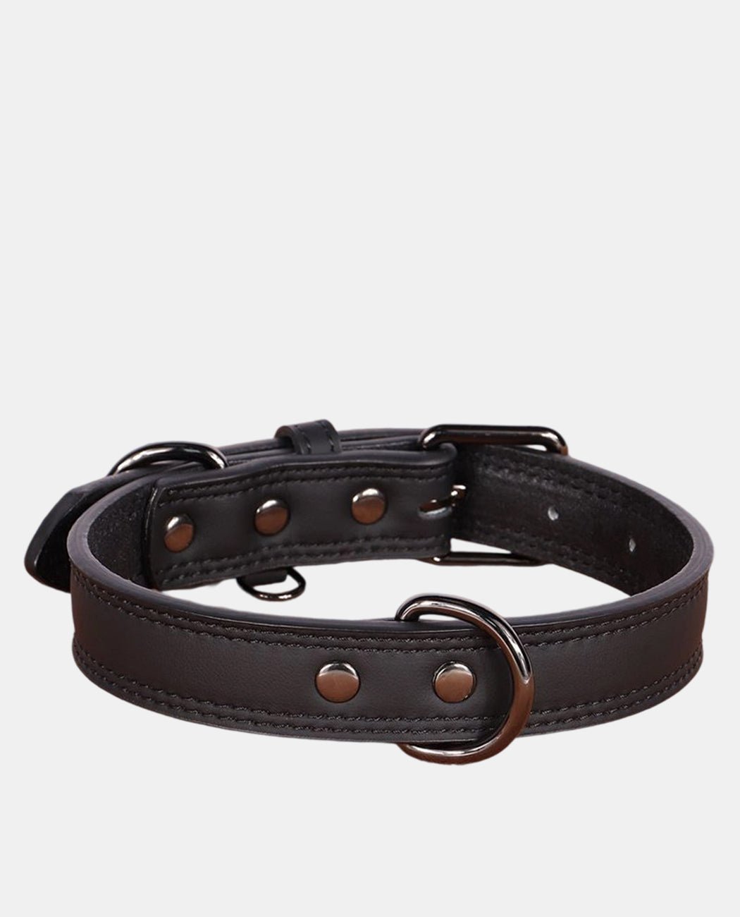 Perfect Leather Dog Collar