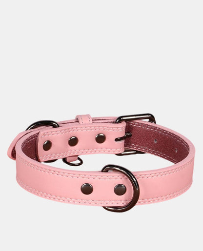 Perfect Leather Dog Collar