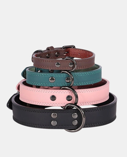 Perfect Leather Dog Collar
