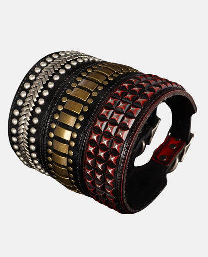 Special Leather Dog Collar