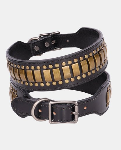 Special Leather Dog Collar