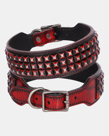 Special Leather Dog Collar
