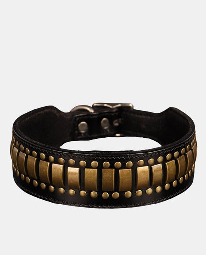 Special Leather Dog Collar