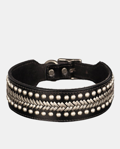 Special Leather Dog Collar