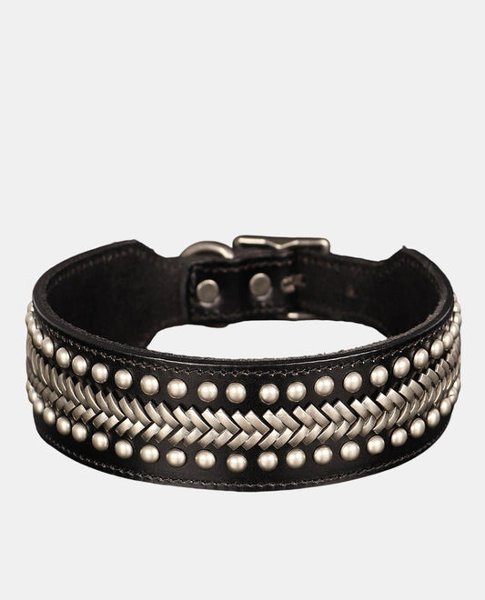 Special Leather Dog Collar