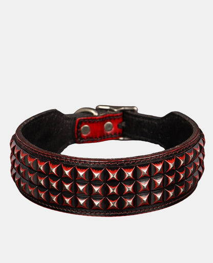 Special Leather Dog Collar