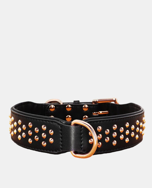 Cone Leather Dog Collar