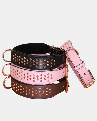 Cone Leather Dog Collar