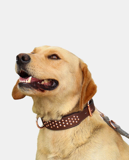 Cone Leather Dog Collar