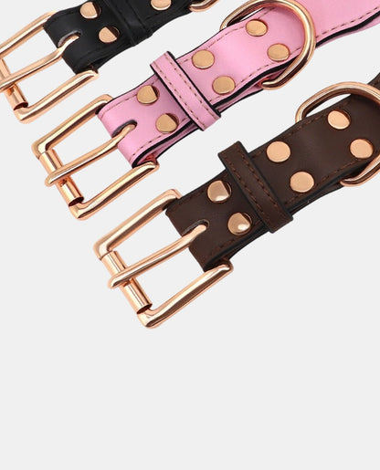 Cone Leather Dog Collar