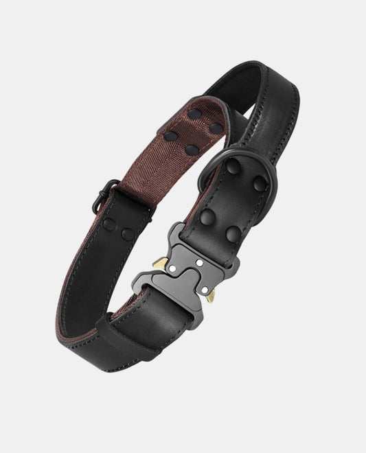 Canvas Leather Dog Collar