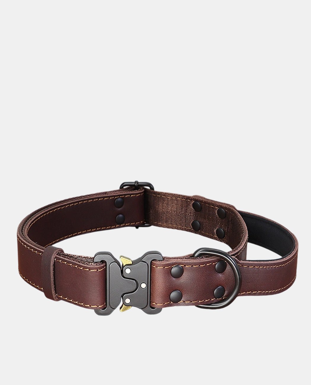 Canvas Leather Dog Collar