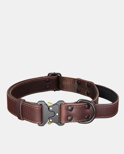 Canvas Leather Dog Collar