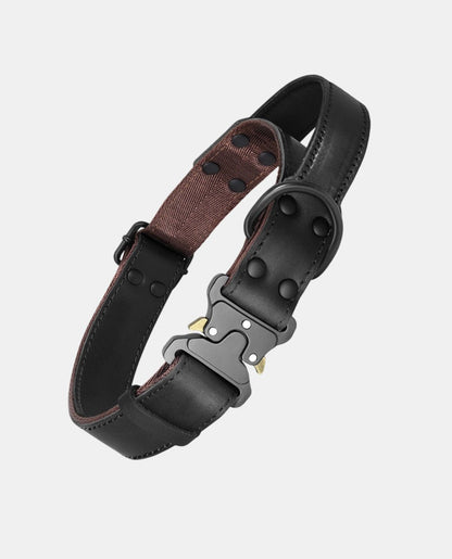 Canvas Leather Dog Collar