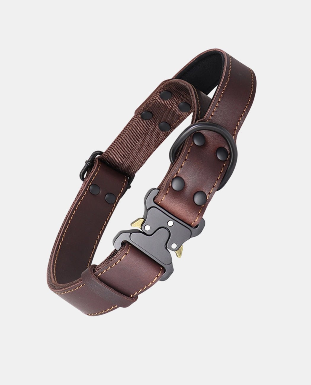 Canvas Leather Dog Collar