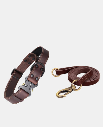 Canvas Leather Dog Collar