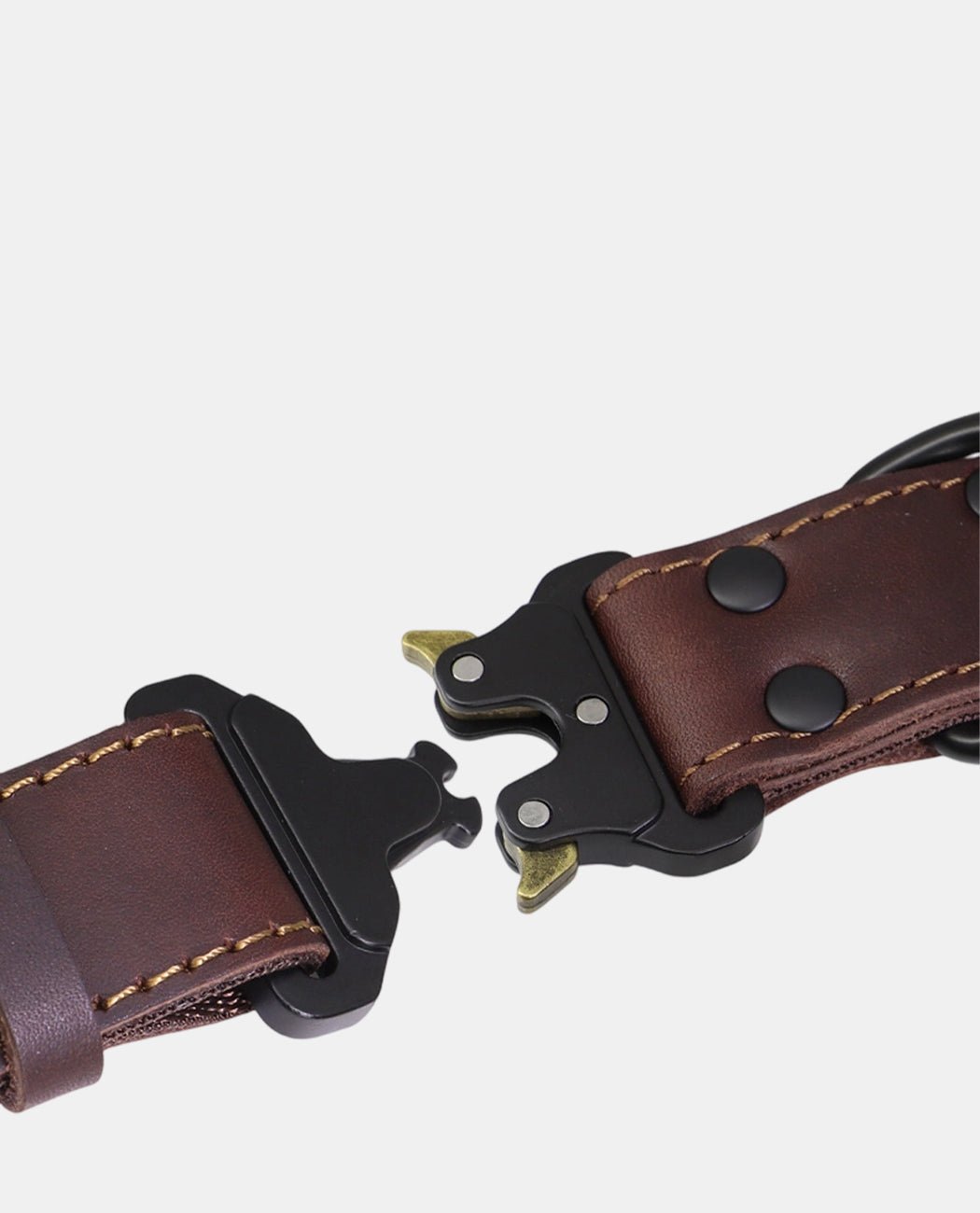 Canvas Leather Dog Collar