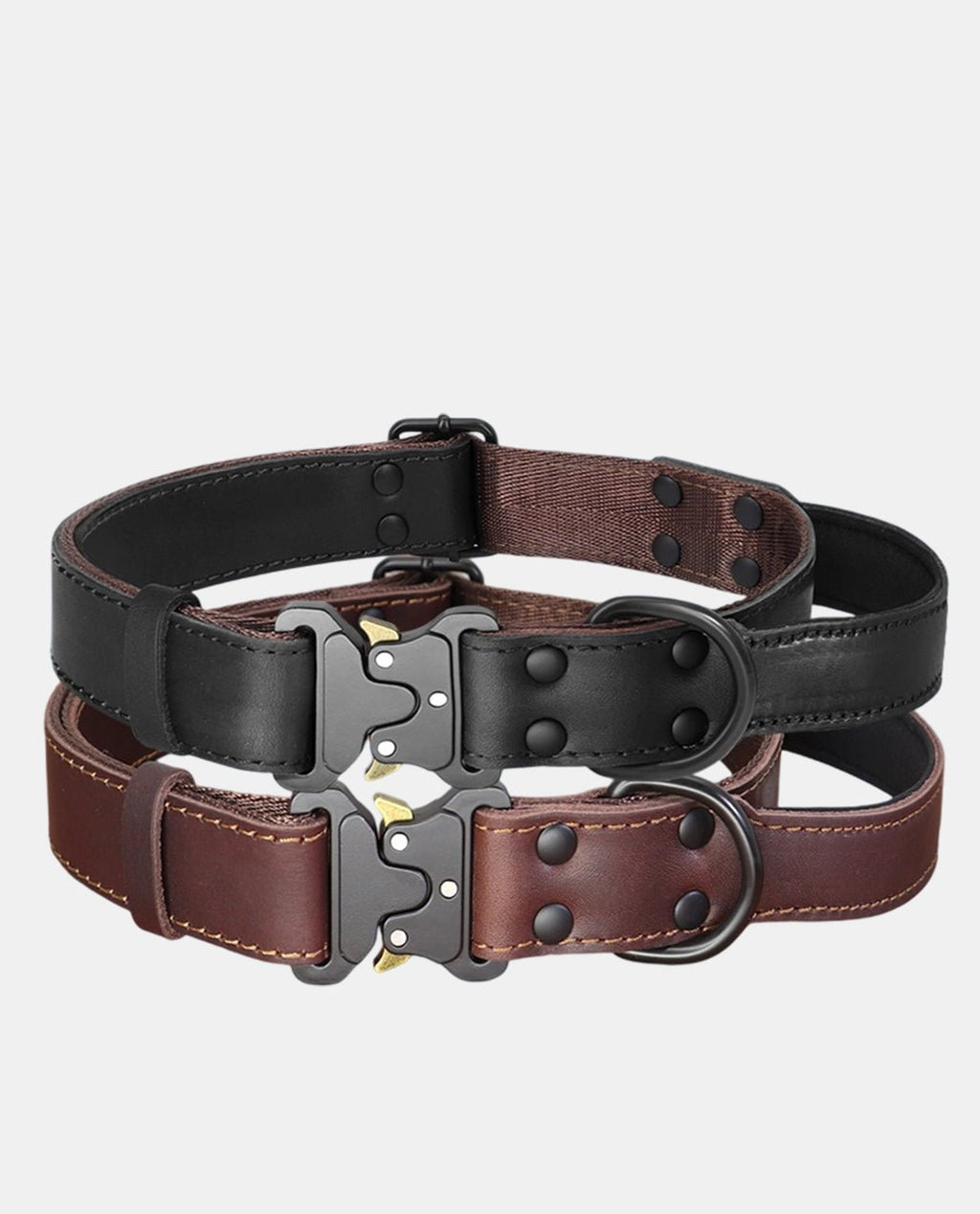 Canvas Leather Dog Collar