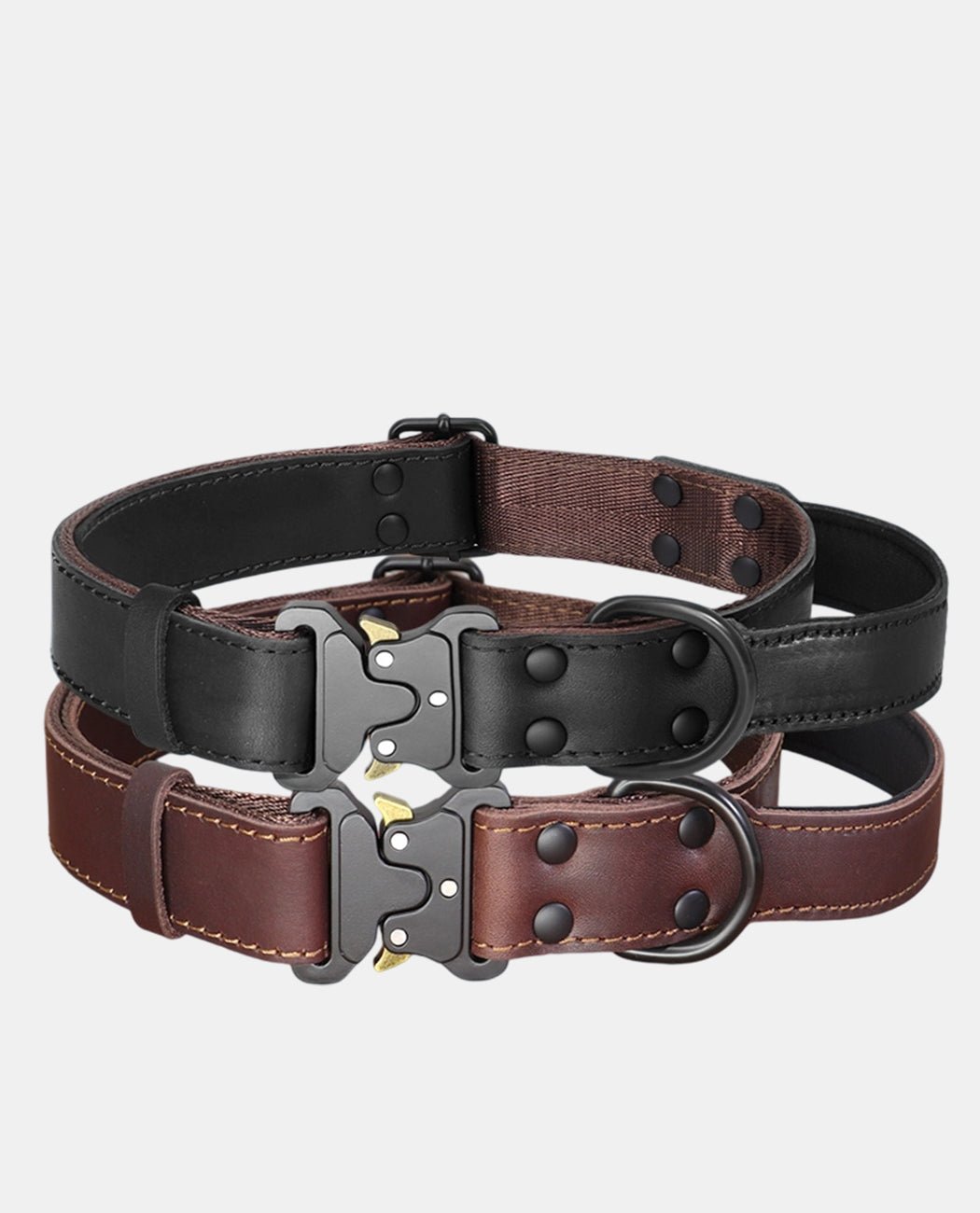 Canvas Leather Dog Collar