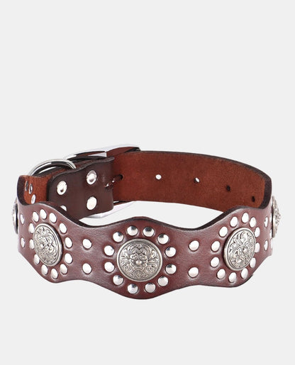 Classical Leather Dog Collar