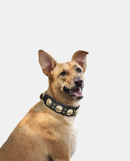 Classical Leather Dog Collar