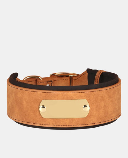 Delicate Leather Dog Collar