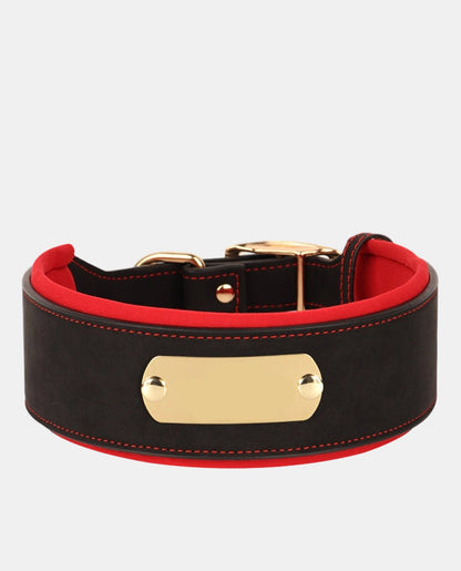 Delicate Leather Dog Collar