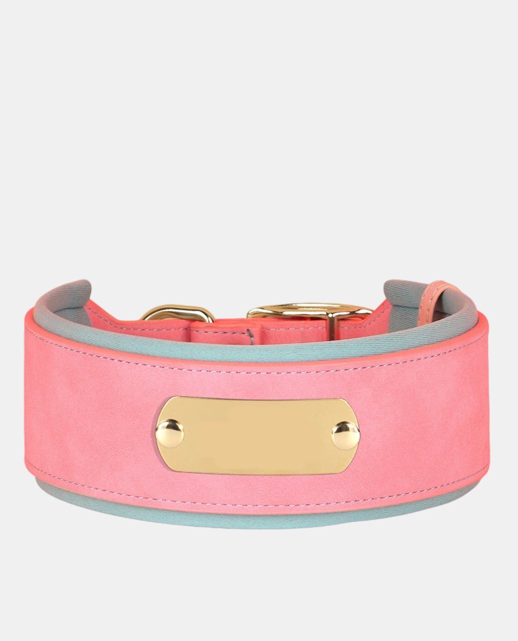 Delicate Leather Dog Collar