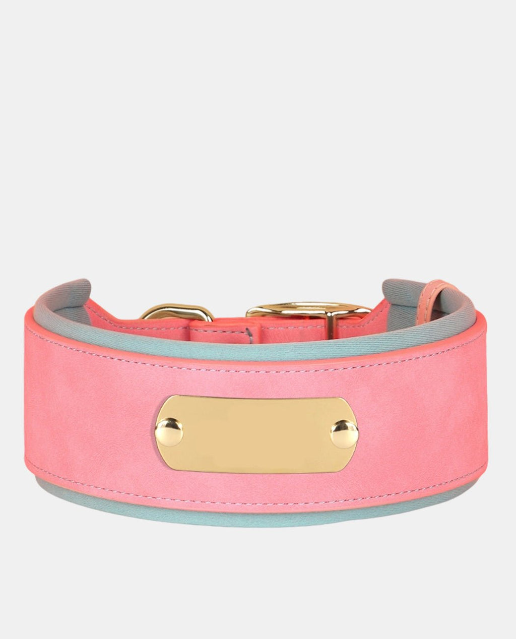 Delicate Leather Dog Collar