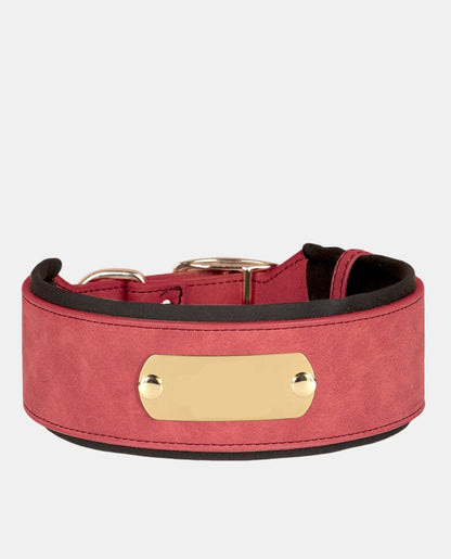 Delicate Leather Dog Collar