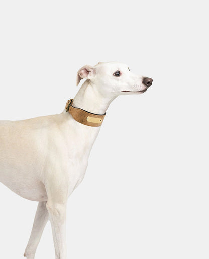 Delicate Leather Dog Collar