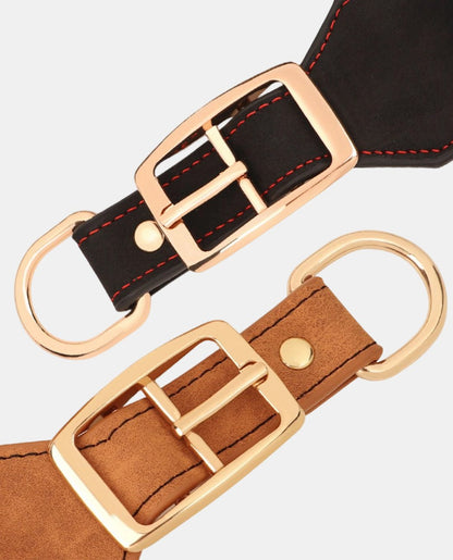 Delicate Leather Dog Collar