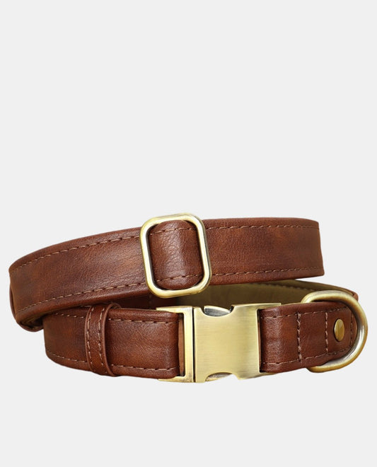 Gloss Leather Dog Collar