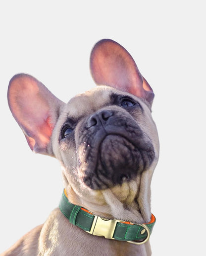 Gloss Leather Dog Collar