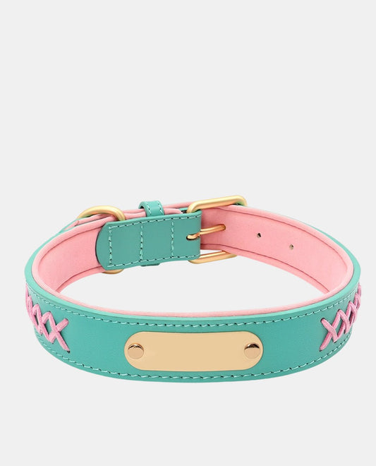 Stylish Leather Dog Collar