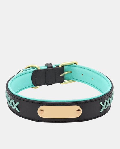 Stylish Leather Dog Collar