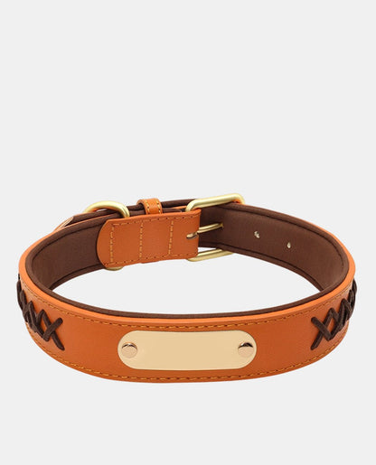 Stylish Leather Dog Collar
