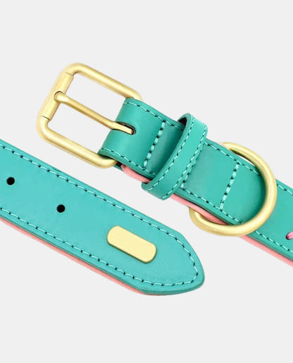 Stylish Leather Dog Collar