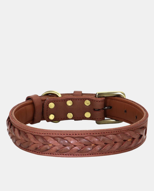 Braid Leather Dog Collar