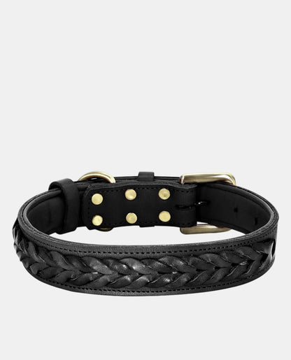 Braid Leather Dog Collar