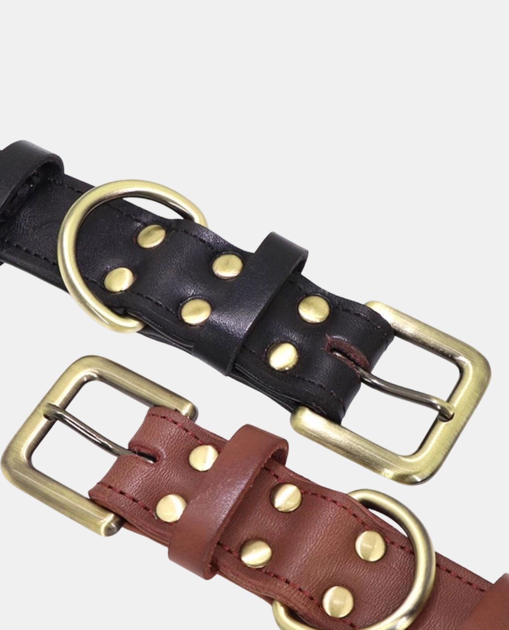 Braid Leather Dog Collar