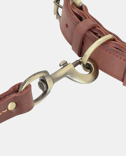 Braid Leather Dog Collar