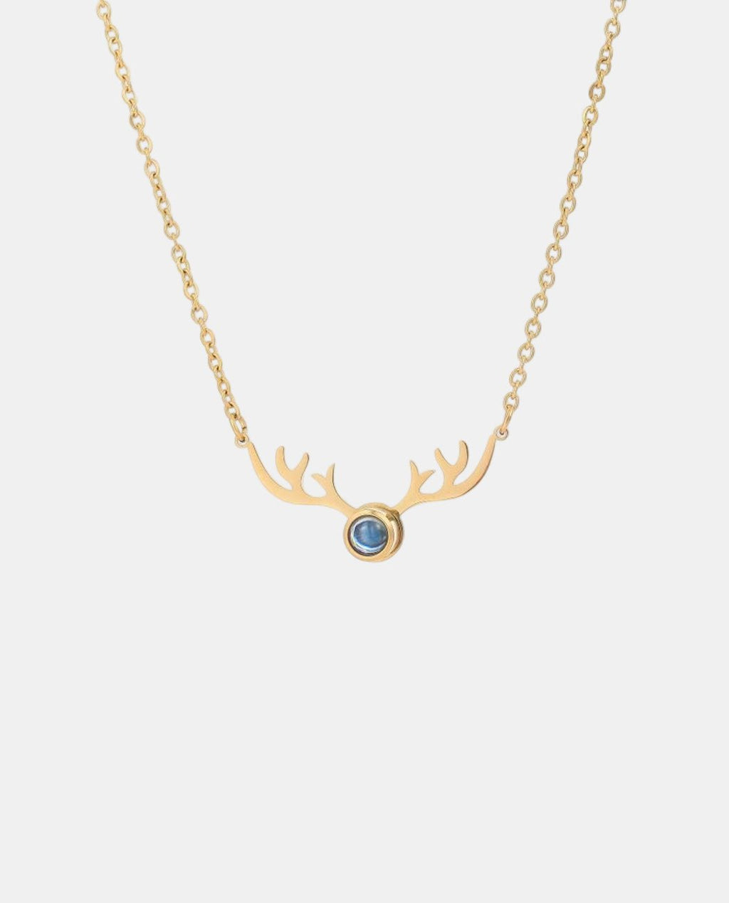 Antler Projection Necklace