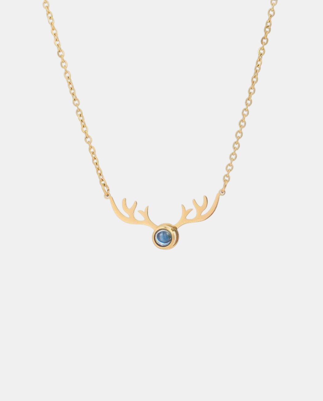 Antler Projection Necklace